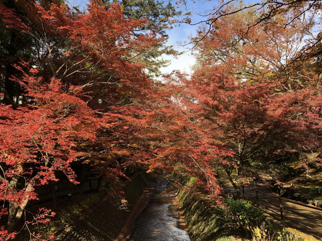 北野天満宮