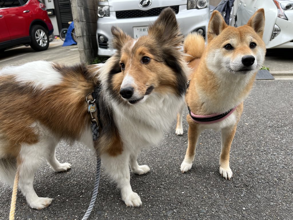 太朗