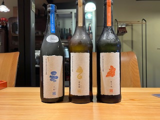 新政